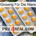 Ginseng Für Die Niere levitra2